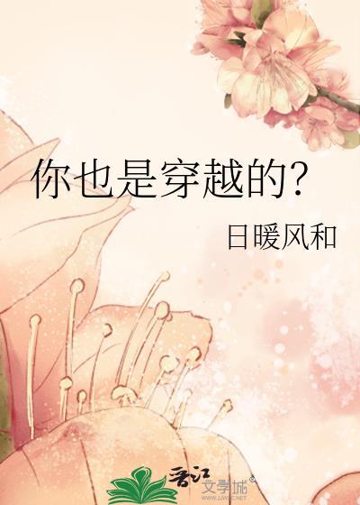 你也是穿越的？封面