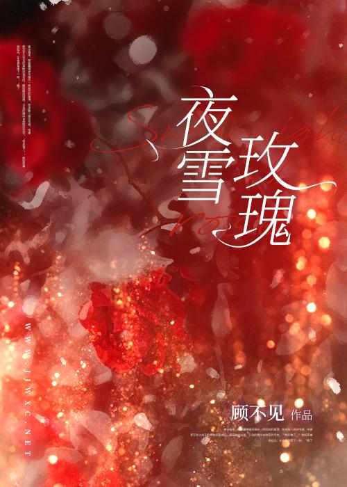 夜雪玫瑰封面