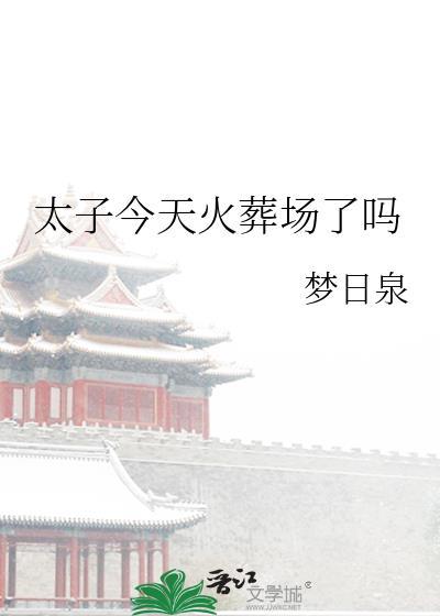 太子今天火葬场了吗封面