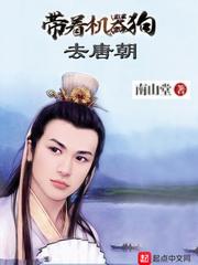 陆锦棠秦云璋封面
