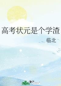 高考状元是个学渣封面