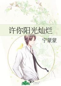 许你阳光灿烂封面