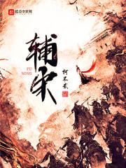 辅宋封面