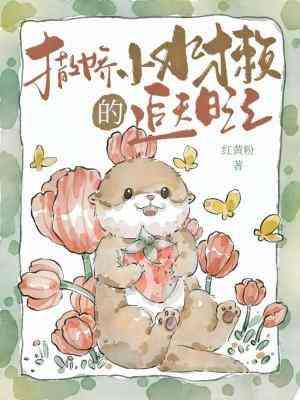 撒娇小水獭的追夫日记封面