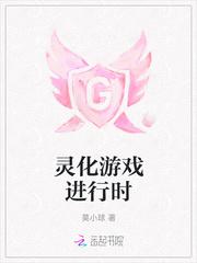 灵化游戏进行时封面