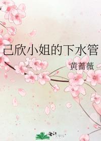 己欣小姐的下水管封面