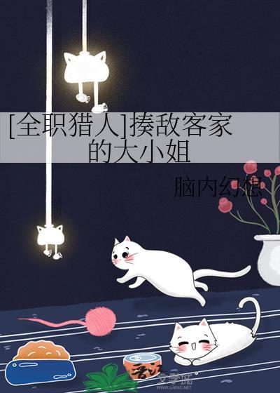 [全职猎人]揍敌客家的大小姐封面