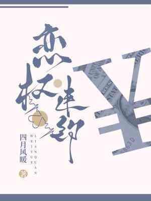 恋权违约封面