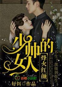烽火红颜，少帅的女人封面