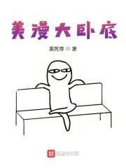美漫大卧底封面