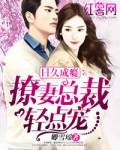 日久成瘾：撩妻总裁轻点宠封面
