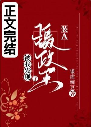 摄政王装A被我发现了封面