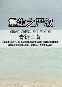 重生之严叙封面
