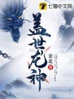 盖世龙神封面