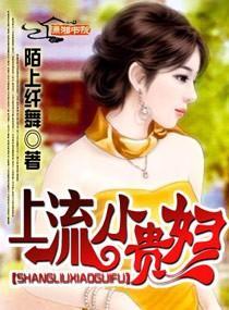 上流小贵妇封面