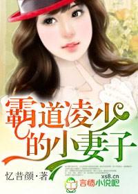 霸道凌少的小妻子封面
