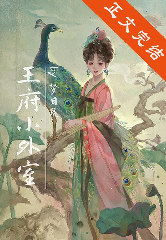 王府小外室封面