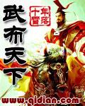 武布天下封面