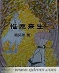 惟愿来生封面