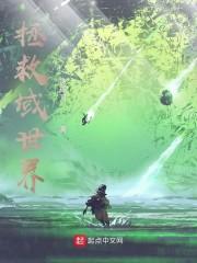 拯救域世界封面