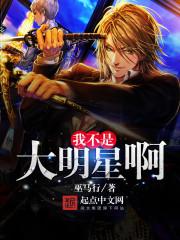 我不是大明星啊封面