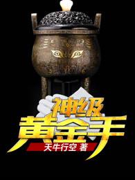 神级黄金手封面
