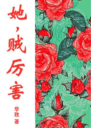 她，贼厉害[六零]封面