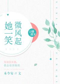 她一笑微风起封面