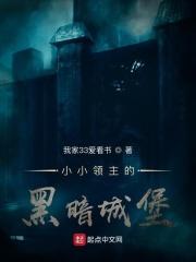 小小领主的黑暗城堡封面