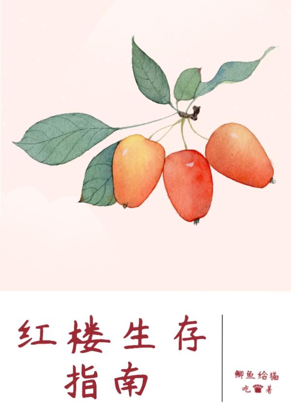 红楼生存指南封面