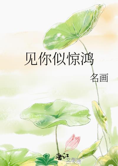 见你似惊鸿封面