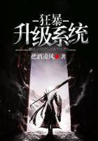 狂暴升级系统封面