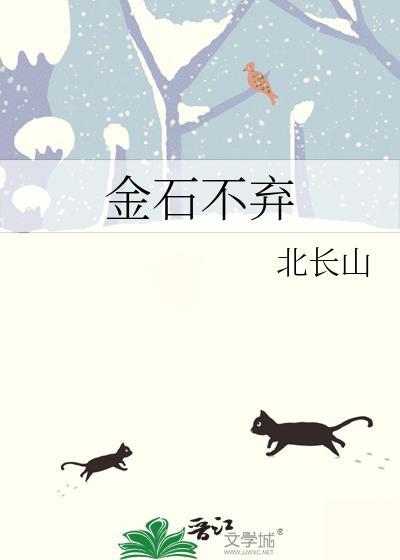 金石不弃封面
