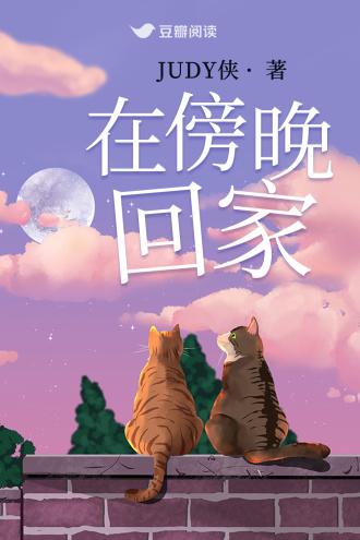 在傍晚回家封面