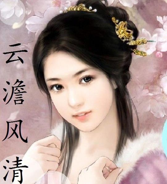 云澹风清封面