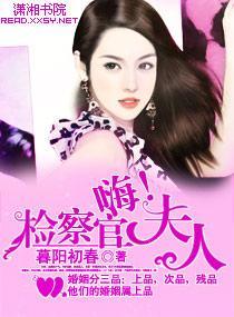 嗨，检察官夫人封面