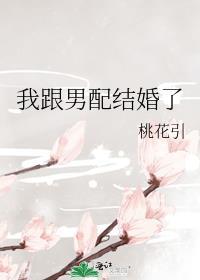 我跟男配结婚了封面