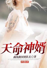 天命神婿封面