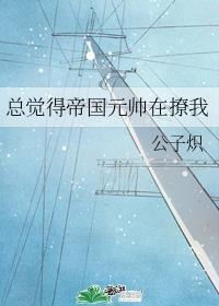总觉得帝国元帅在撩我封面