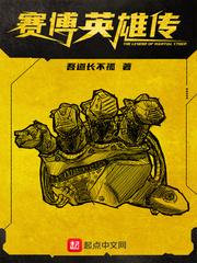 赛博英雄传封面