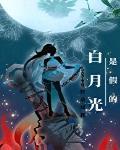 白月光是假的封面