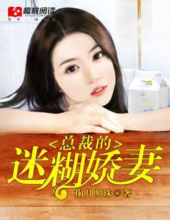 总裁的迷糊娇妻封面
