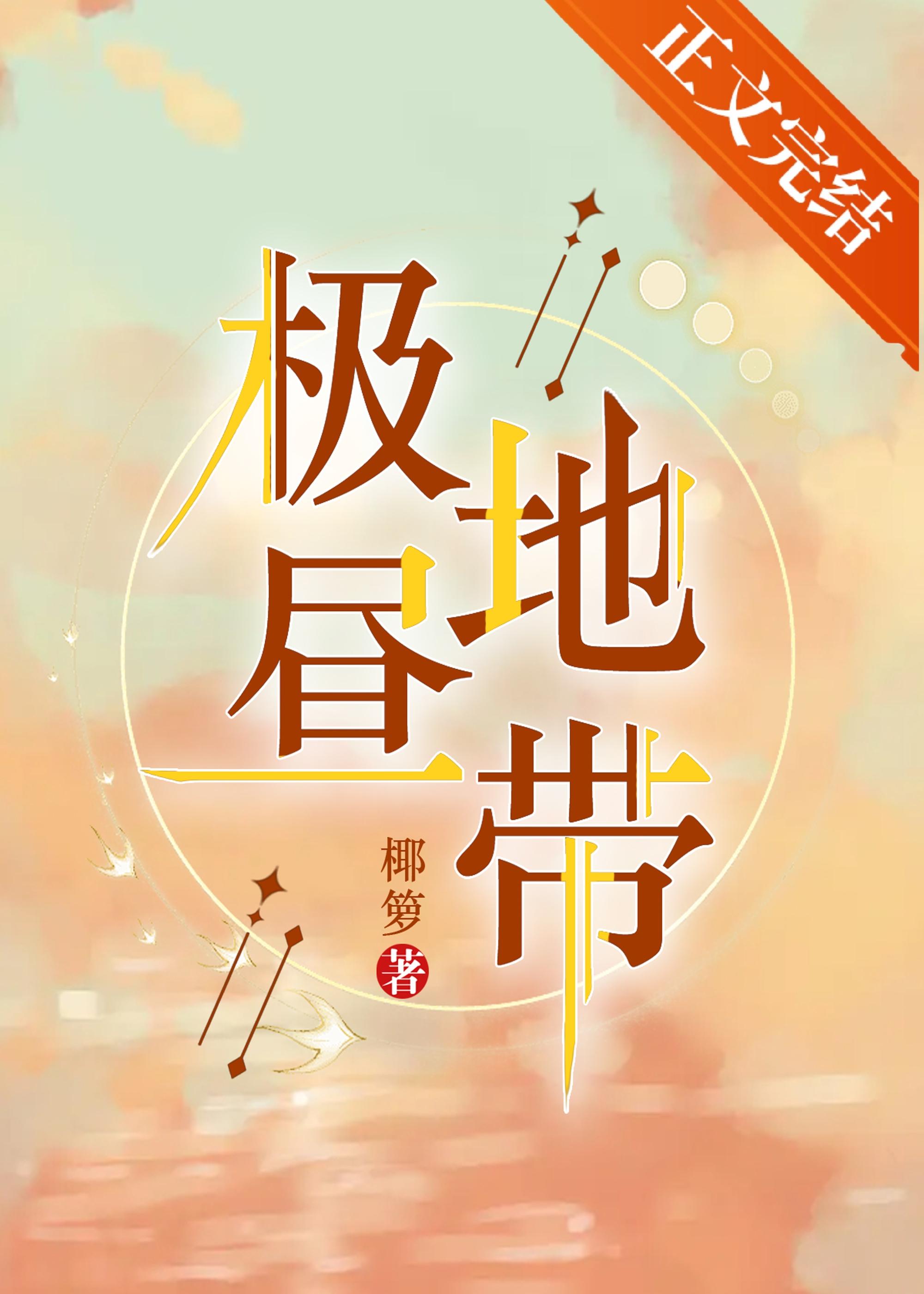 极昼地带封面