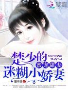蜜宠甜妻:楚少的迷糊小娇妻封面