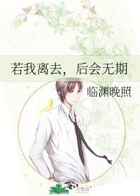 若我离去,后会无期封面