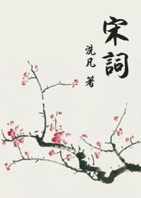 宋词封面