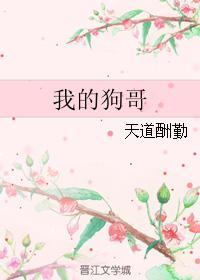 我的狗哥封面