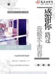感谢你路过我整个青春封面