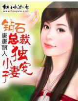 钻石总裁独宠小妻子封面