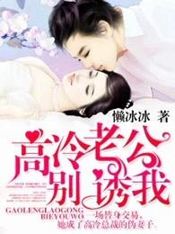 高冷老公别惹我封面